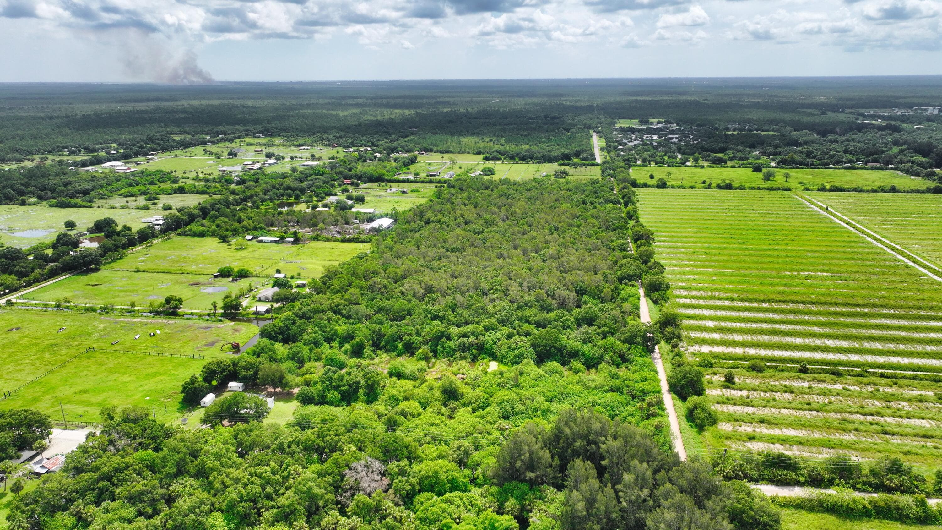 13380 101st Fellsmere FL 32948 — thumbnail 3 of 26