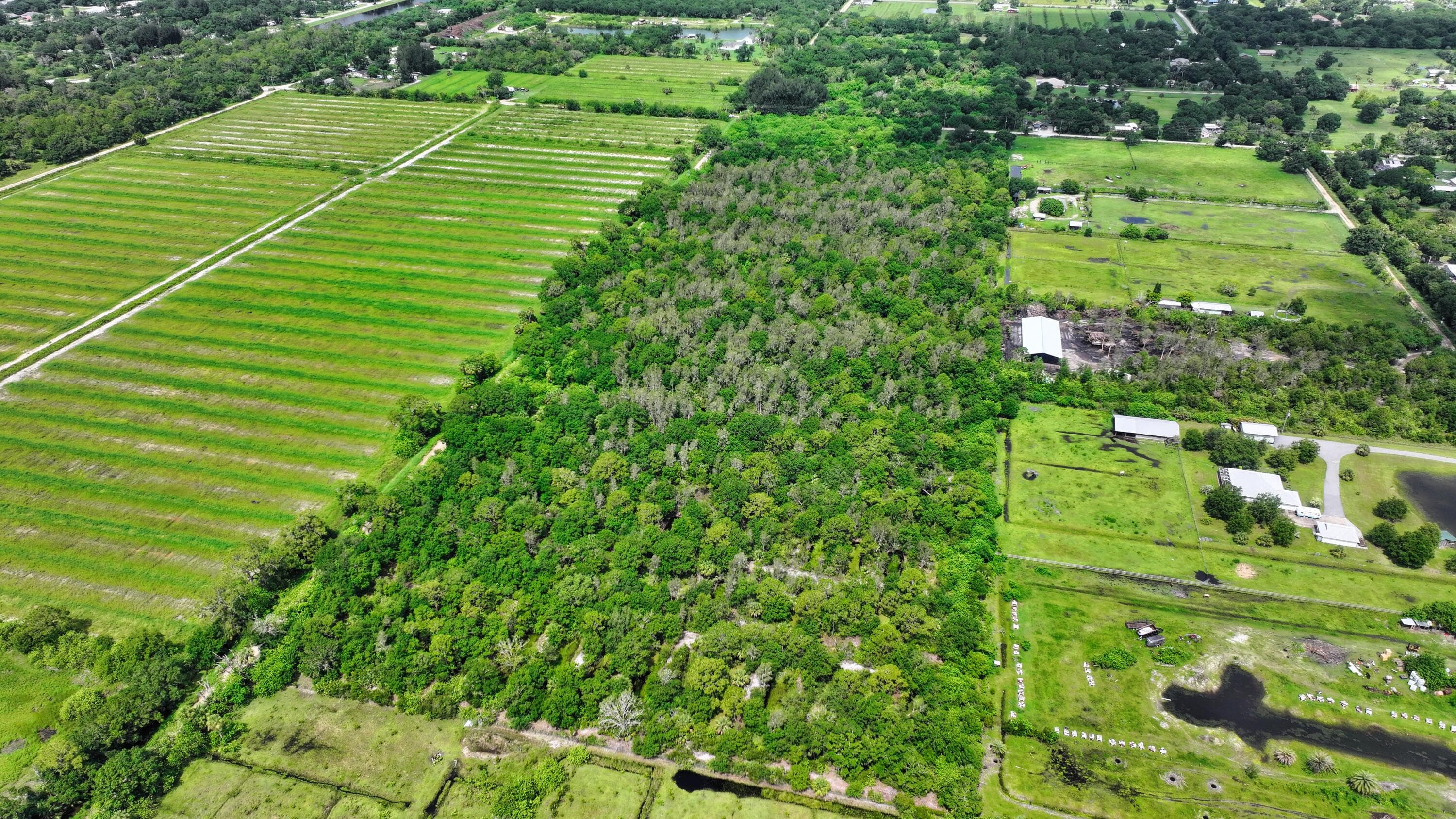 13380 101st Fellsmere FL 32948 — thumbnail 4 of 26