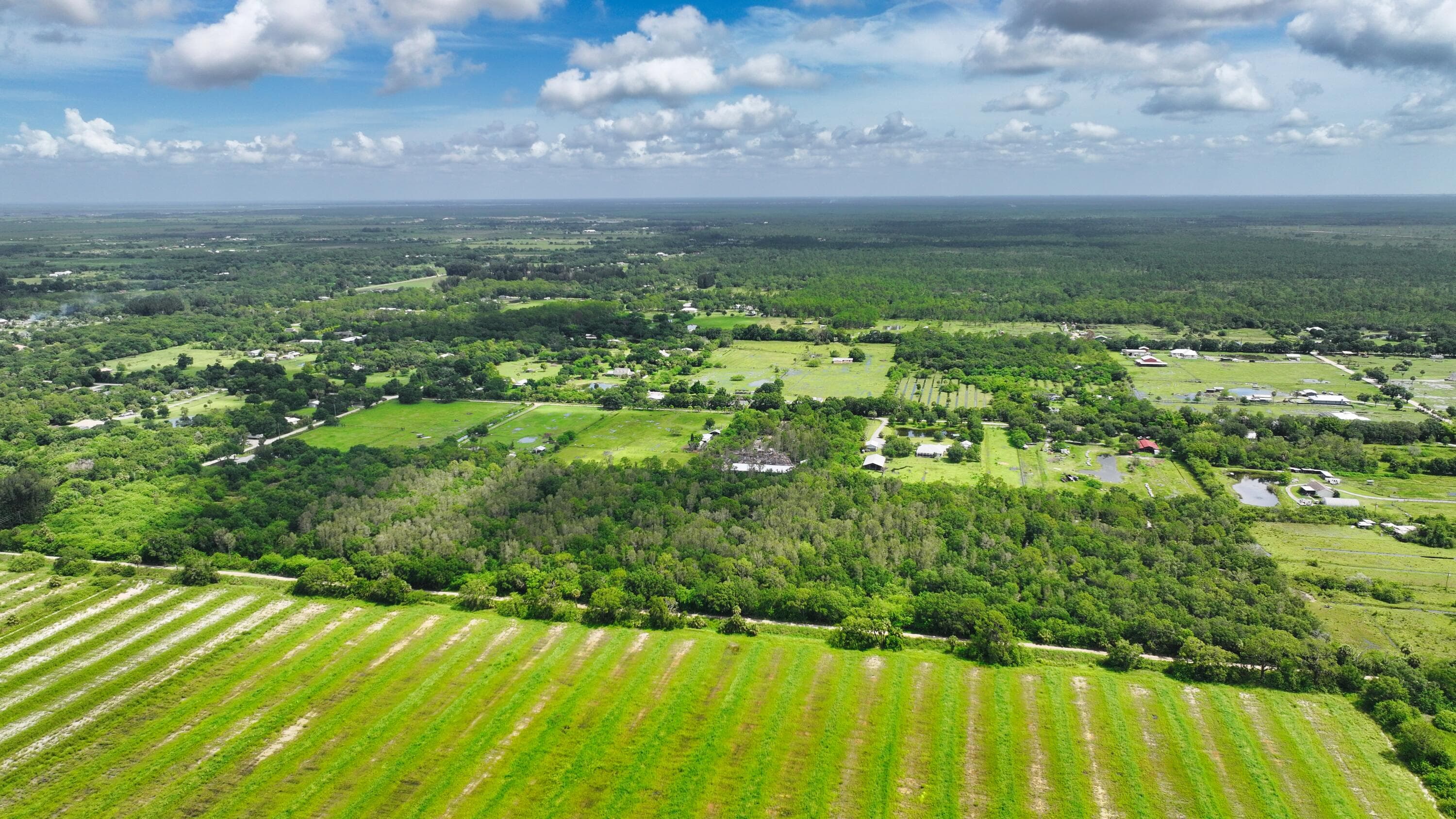 13380 101st Fellsmere FL 32948 — thumbnail 8 of 26