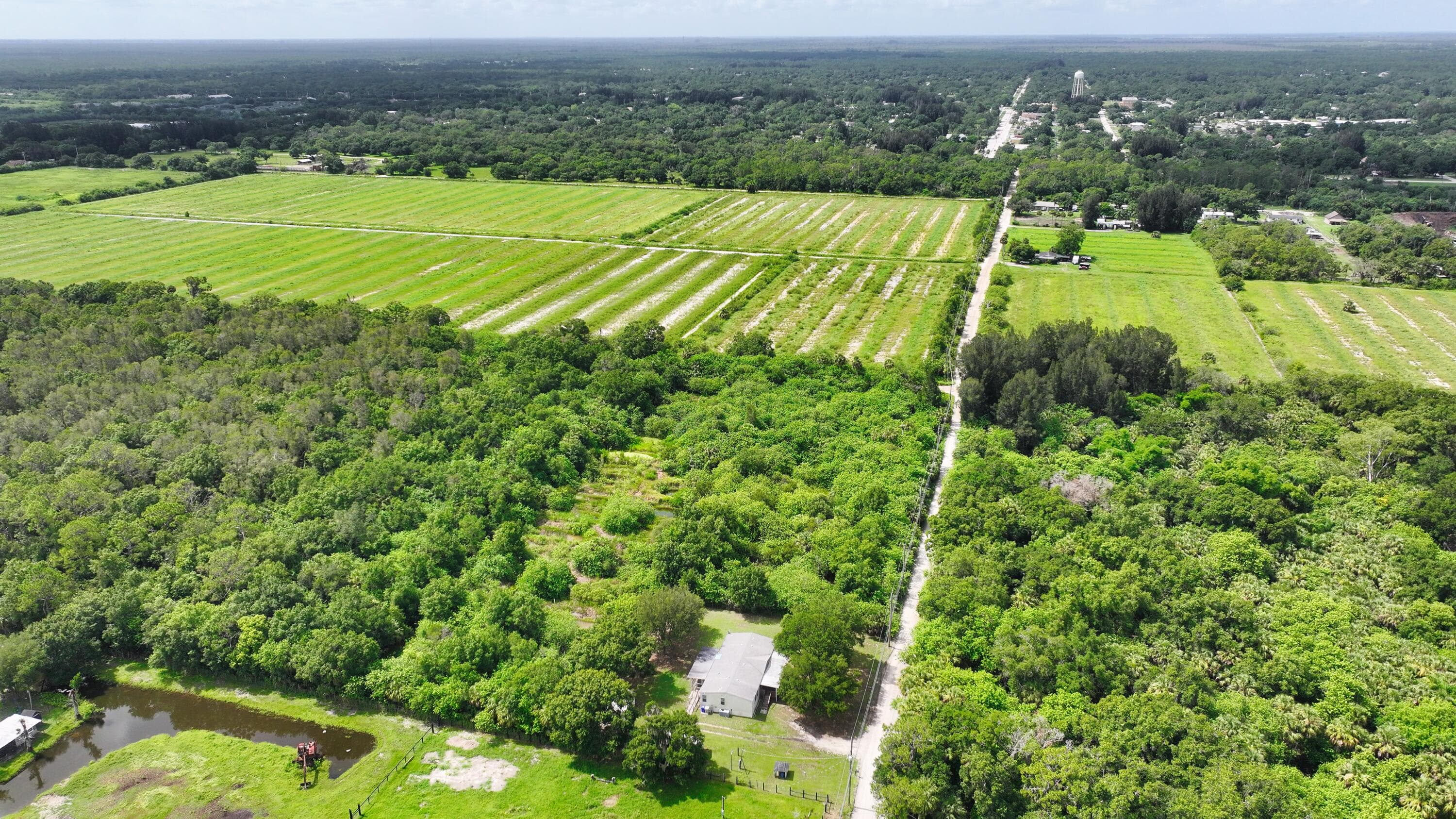 13380 101st Fellsmere FL 32948 — thumbnail 16 of 26