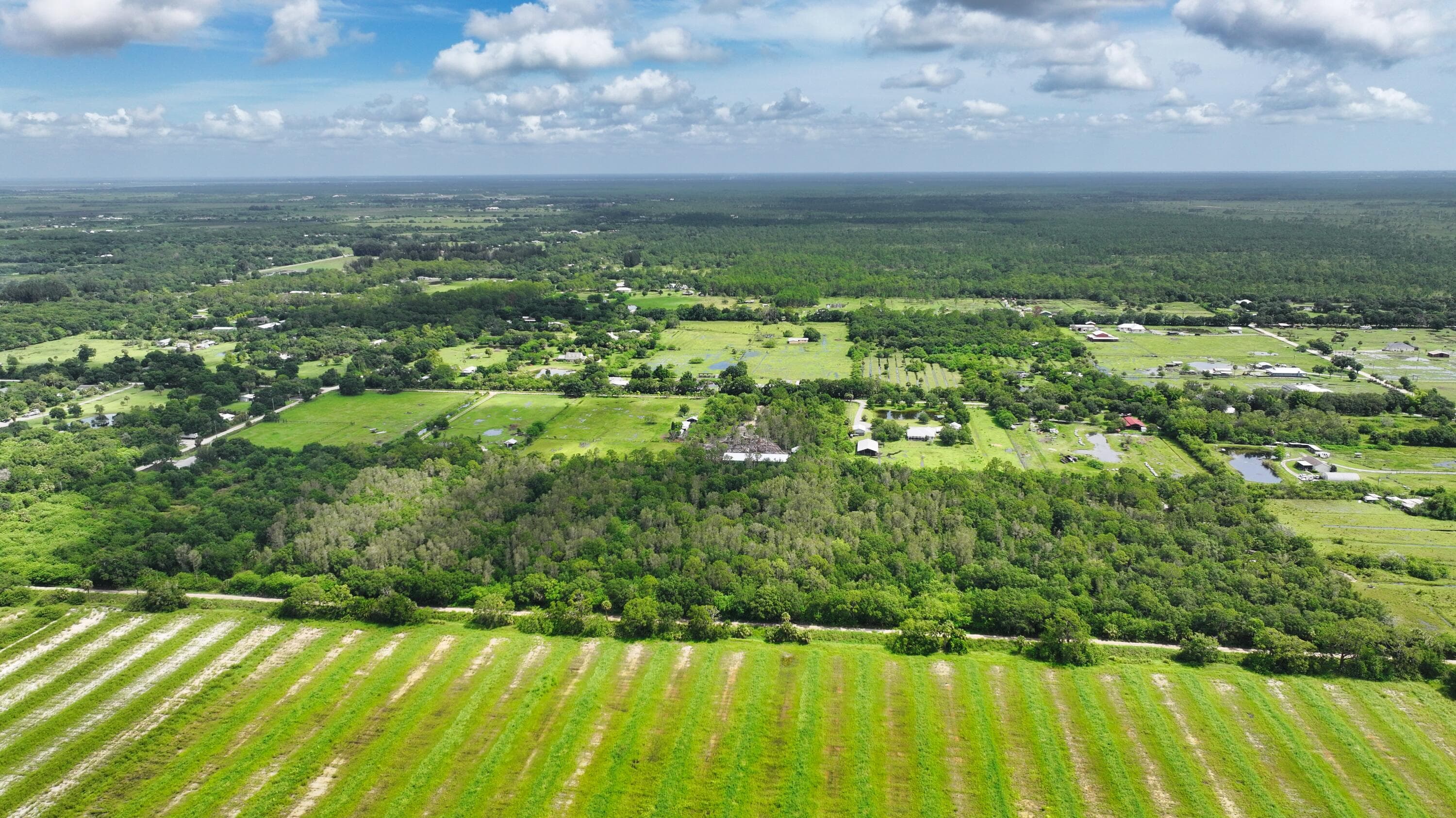 13420 101st Fellsmere FL 32948 — thumbnail 8 of 25