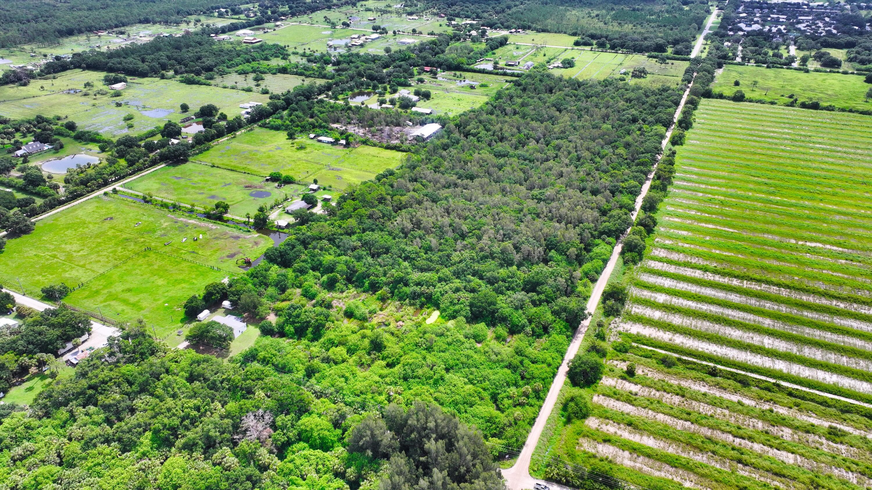 13420 101st Fellsmere FL 32948 — photo 1