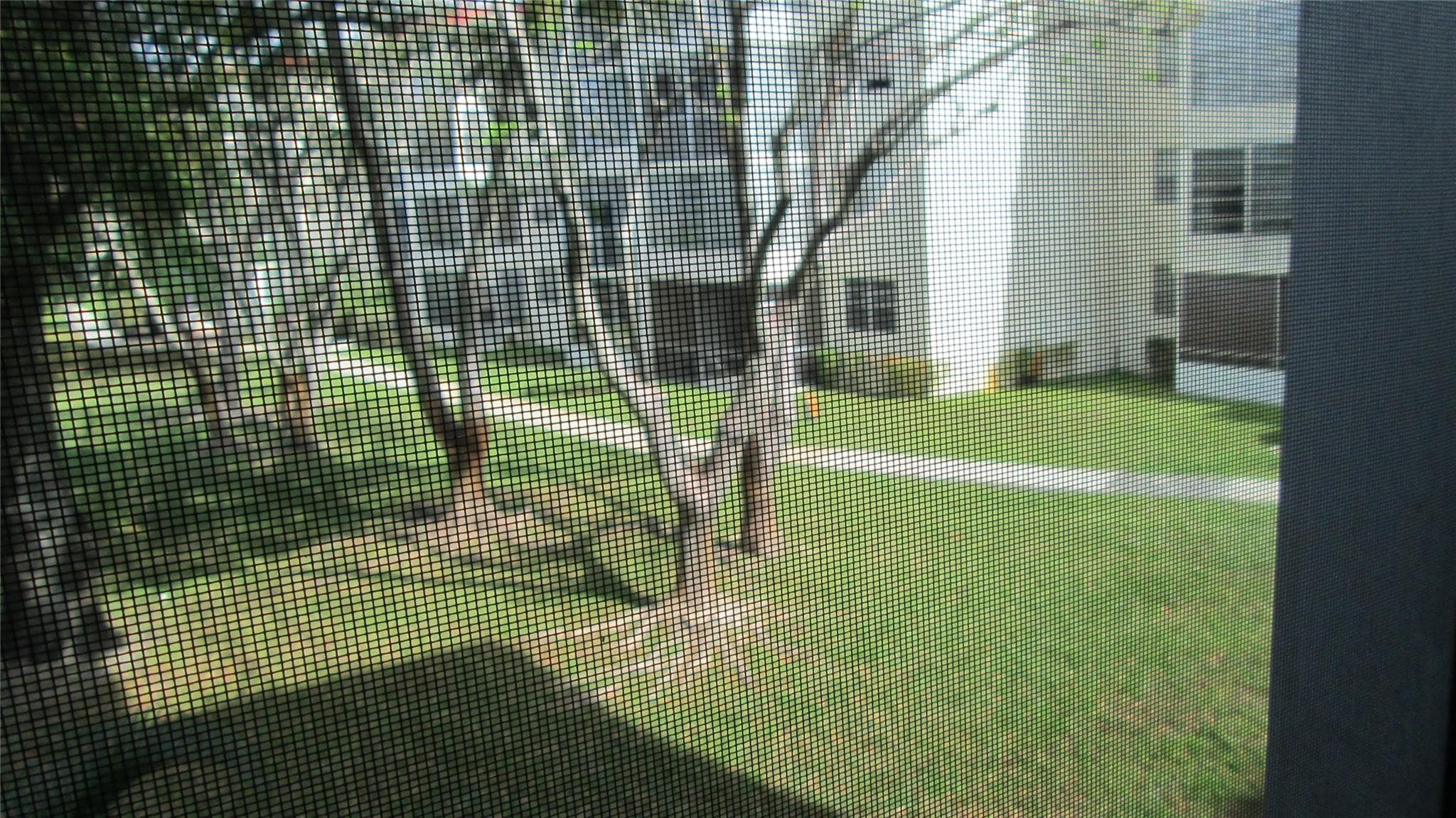 3001 48th #237 Lauderdale Lakes FL 33313 — thumbnail 22 of 22