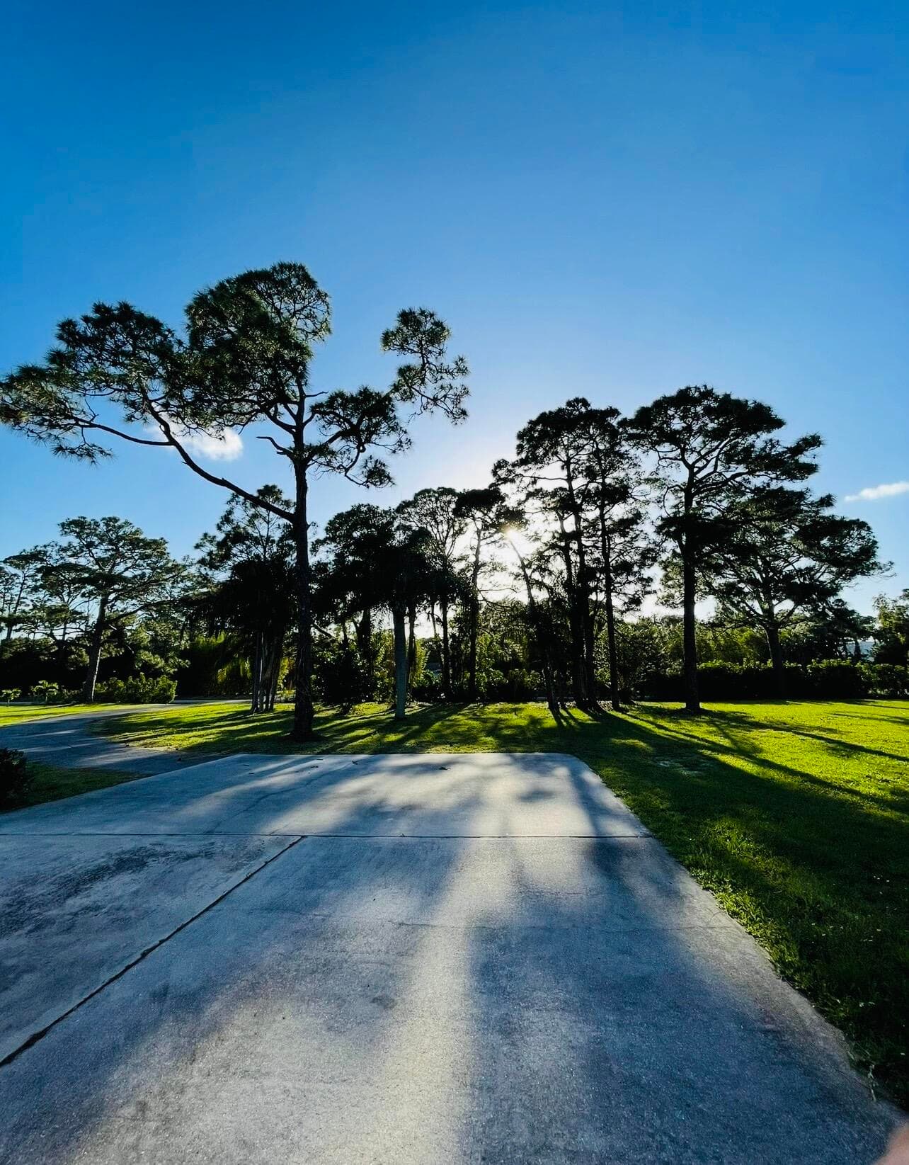 8895 Bates Palm Beach Gardens FL 33418 — thumbnail 43 of 92