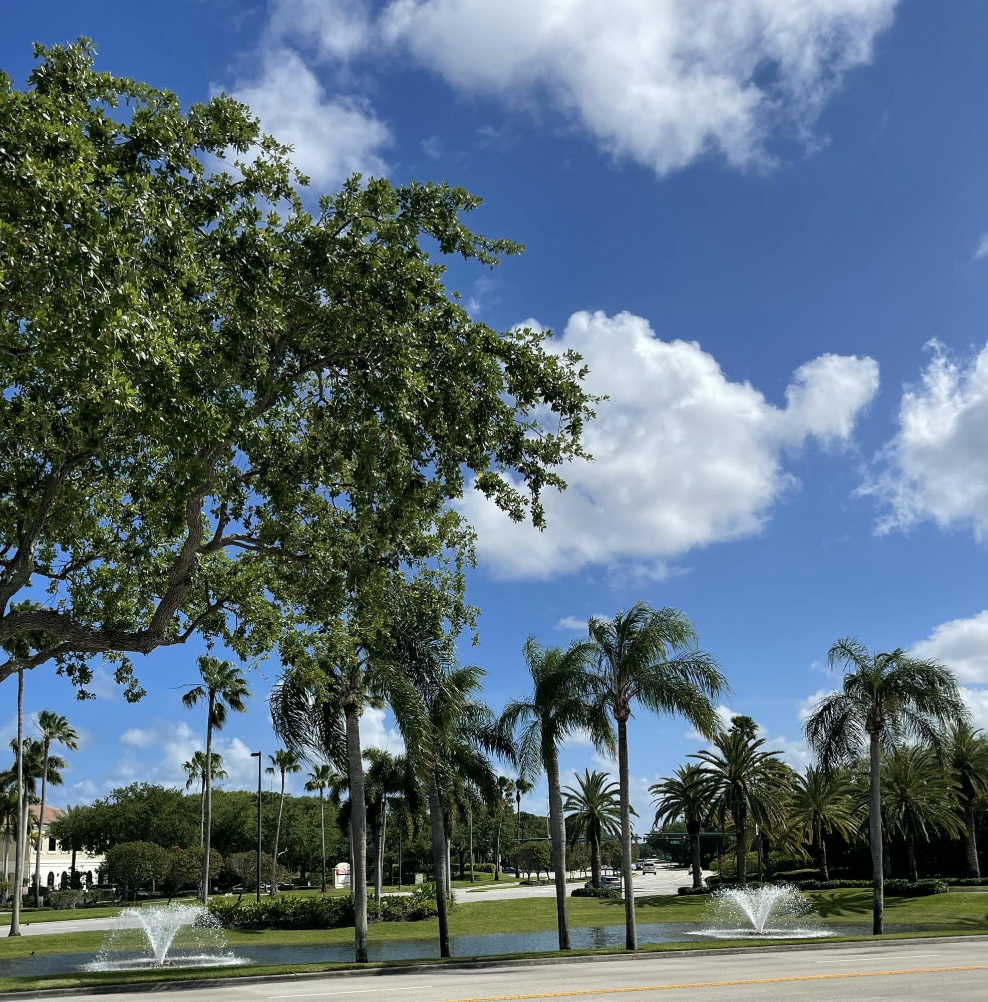 8895 Bates Palm Beach Gardens FL 33418 — thumbnail 57 of 92