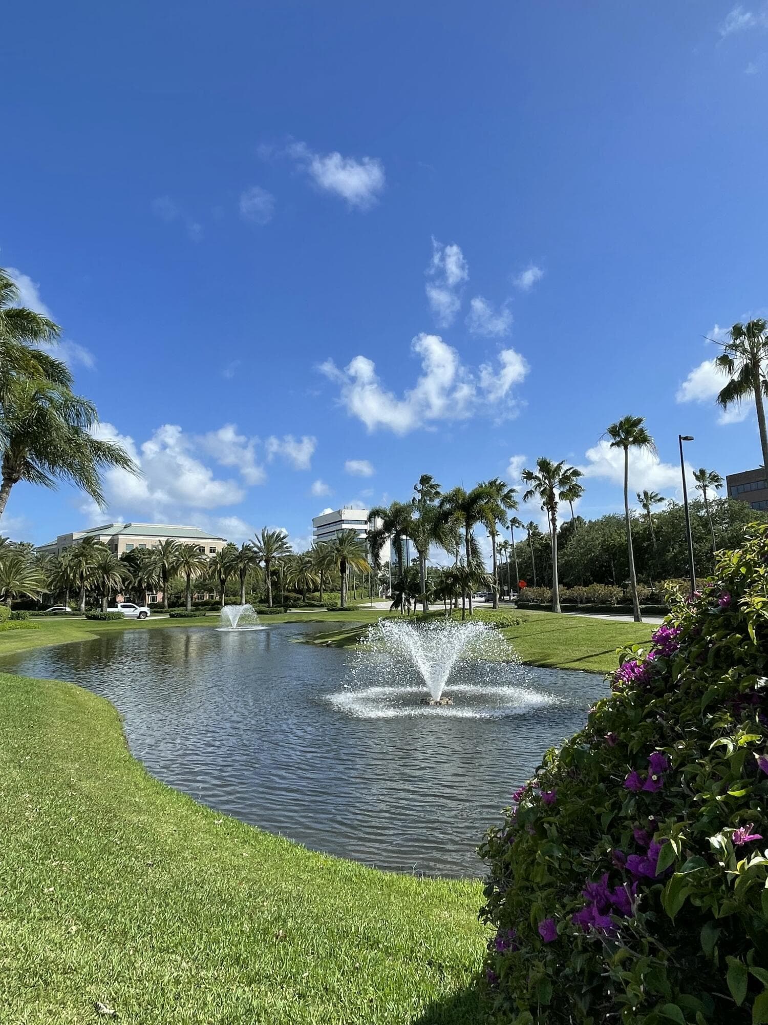 8895 Bates Palm Beach Gardens FL 33418 — thumbnail 60 of 92