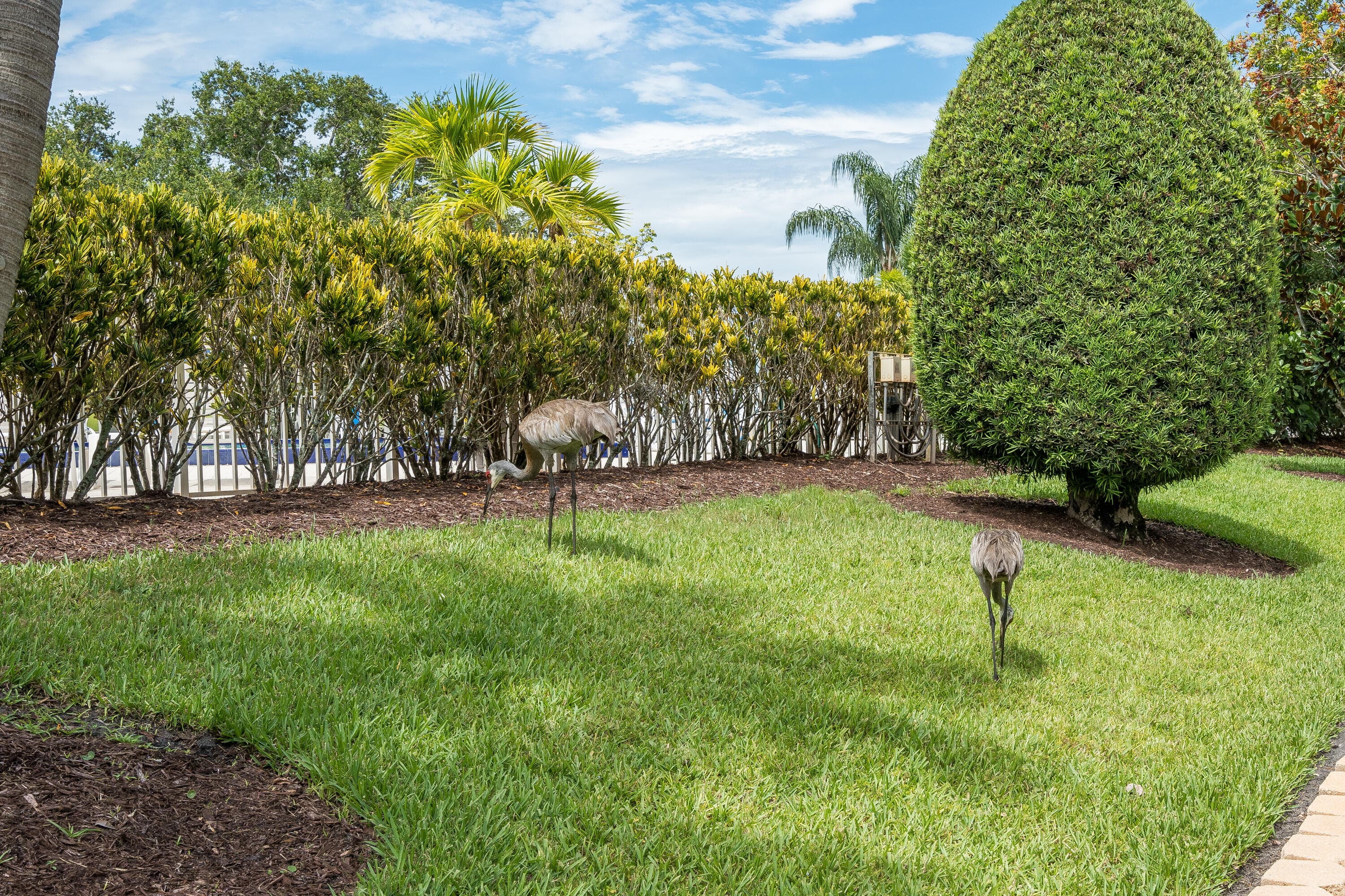 18081 Country Club #132 Jupiter FL 33469 — thumbnail 33 of 35