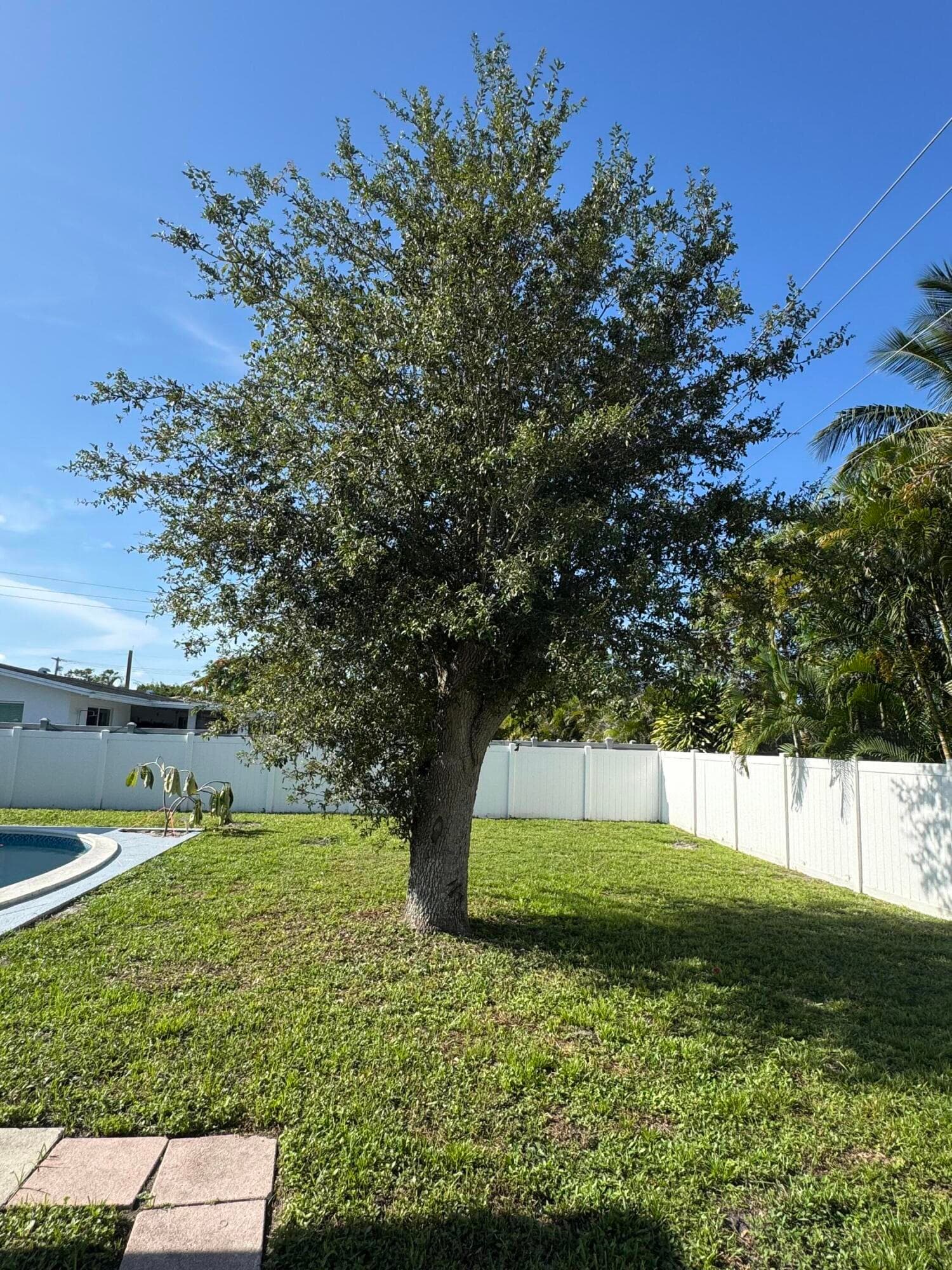28 9th Boca Raton FL 33486 — thumbnail 16 of 17