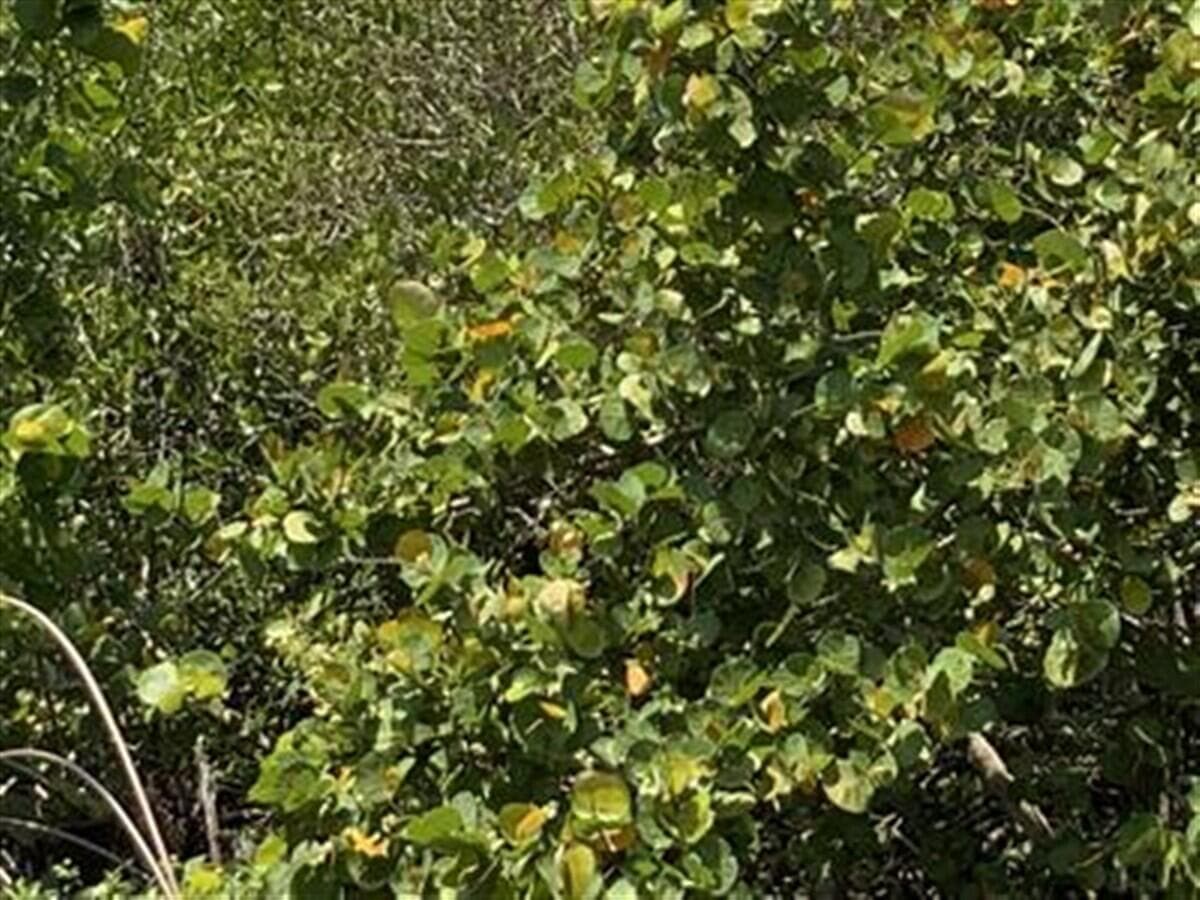 0 Ocean Fort Pierce FL 34949 — thumbnail 2 of 2