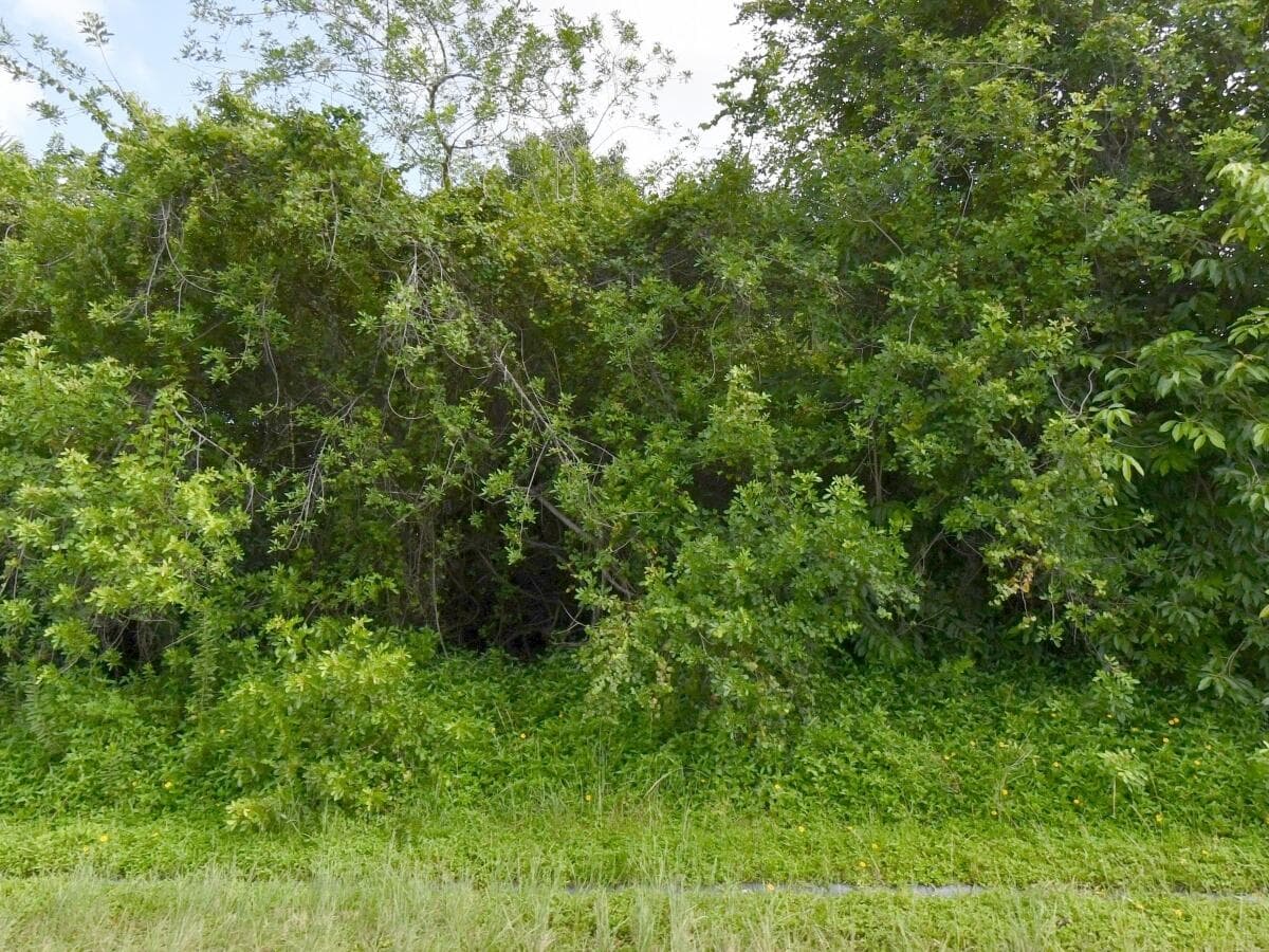 1081 Dartmouth Port St. Lucie FL 34953 — photo 1